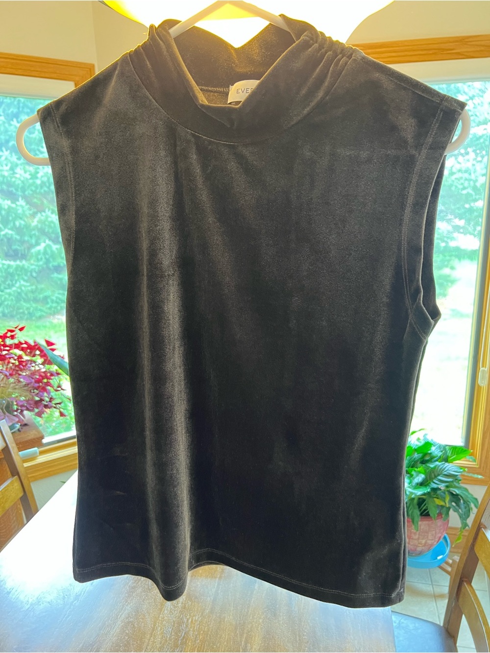Evereve Velour Top